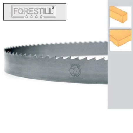 SBM Lama Per Sega A Nastro In Acciaio Per Utensili - 1575 X 10 X 0,65 Mm, 4 Denti Per Pollice, Per Legno E Metalli Non Ferrosi