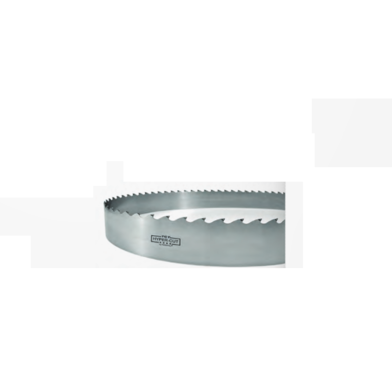 Lame De Scie à Ruban Pour Bois – Largeur 25mm, Modèle FLEXBACK 25X0,65 – Neuve