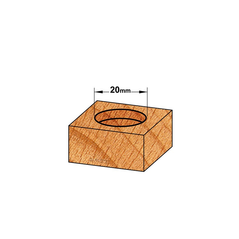 ENT Mèche à Façonner Carbure Queue 10mm Diamètre 20mm L57mm Rotation Gauche