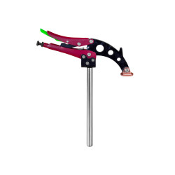 copy of Fraise à carotter...