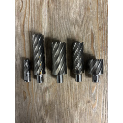 Lot de Fraises à carotter...