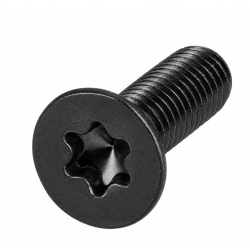 Vis torx T20 ELBE VI119705...