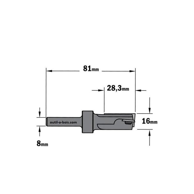 ENT 20428 Fraise à Surfacer Carbure - Queue 12mm Diamètre 28mm - Outil Bois Haut De Gamme